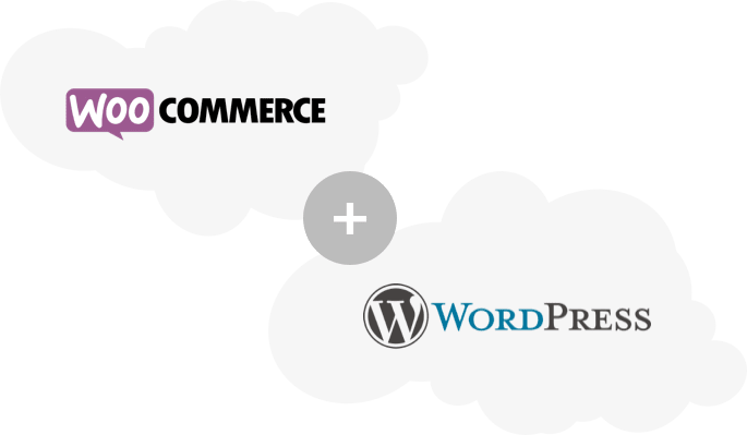 Power of WooCommerce and WordPress