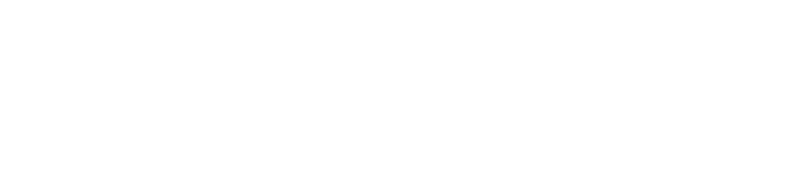 WordPress Logo