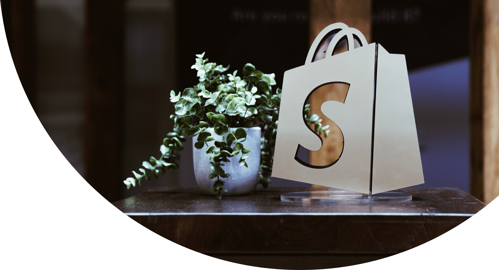 Shopify Store Set Up Services